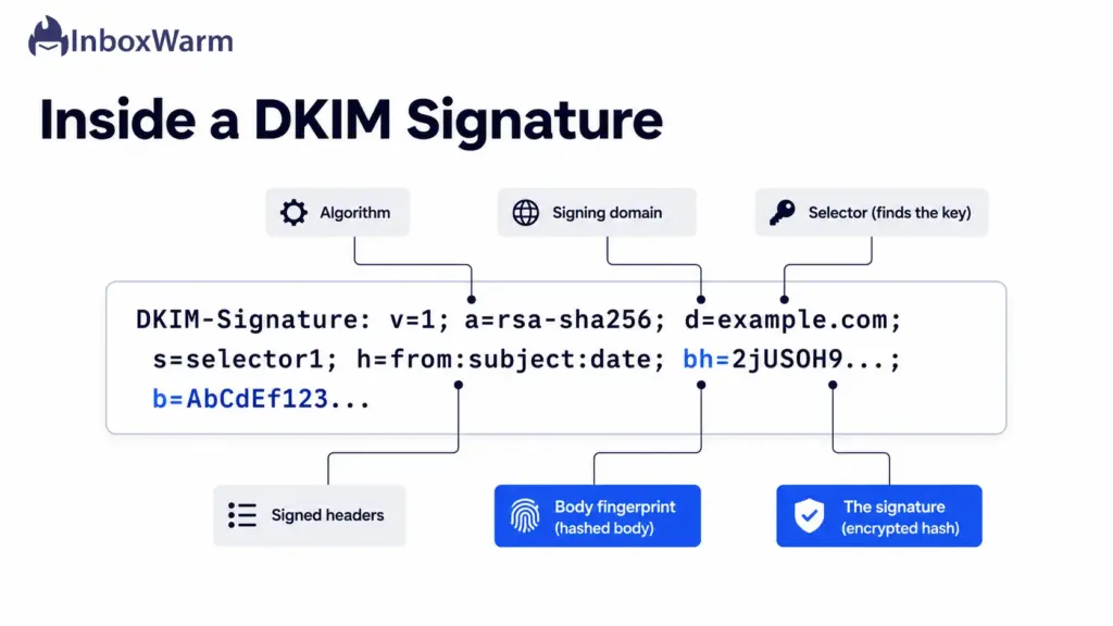 Annotated DKIM-Signature header showing the algorithm, signing domain, selector, signed headers, body hash, and signature tags